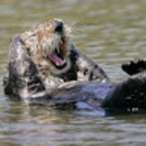 Meet your Posher, Ben